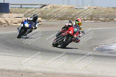 media/Aug-03-2024-TrackDaz (Sat) [[30bed884ff]]/C Group/1240pm (Grapevine)/